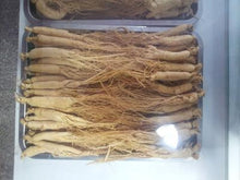 American ginseng-西洋参-Small