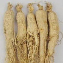 American ginseng-西洋参-Small