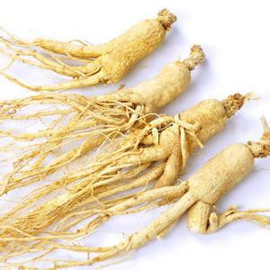 American ginseng-西洋参-Extra Large